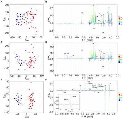 Cardiometabolic disease risk markers are increased following burn injury in children